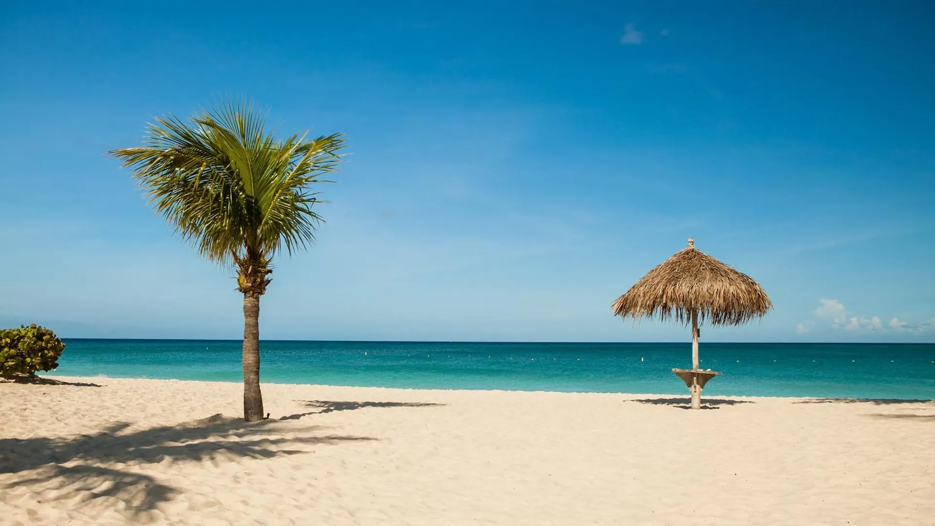 Apartment 1Bsgf-Blue113 - Follow Your Heart To The Beach In This Condo Palm Beach